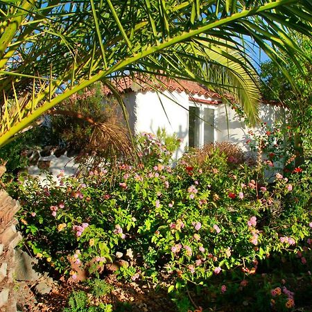 Finca Cosmos El Paso Kültér fotó