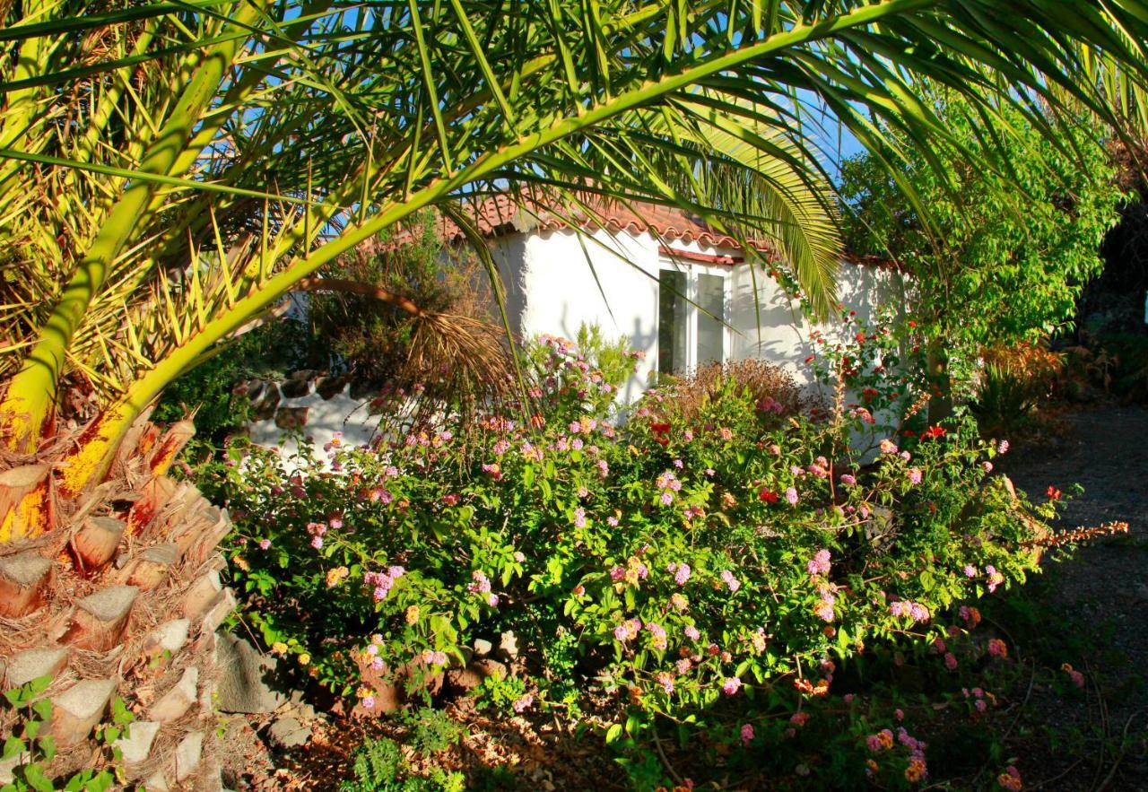 Finca Cosmos El Paso Kültér fotó