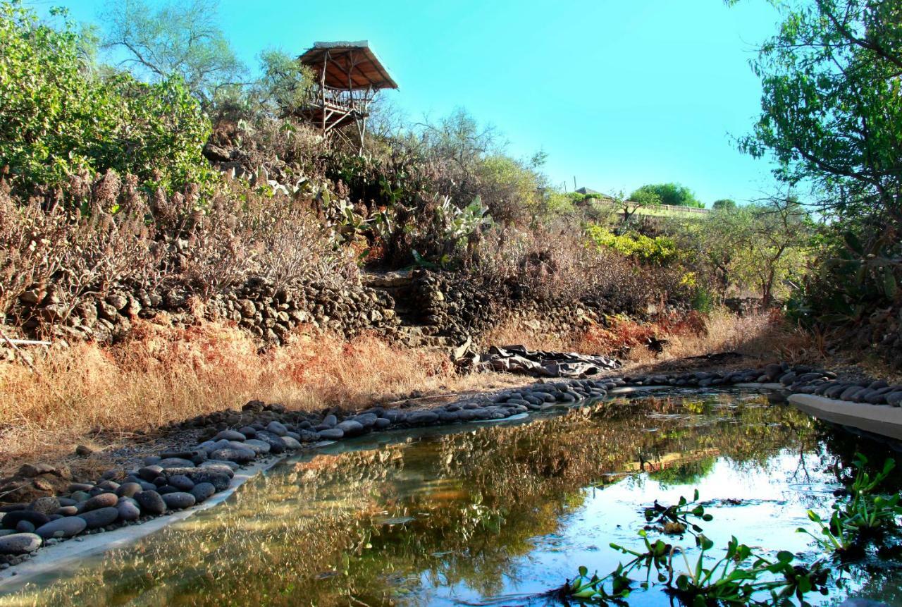 Finca Cosmos El Paso Kültér fotó